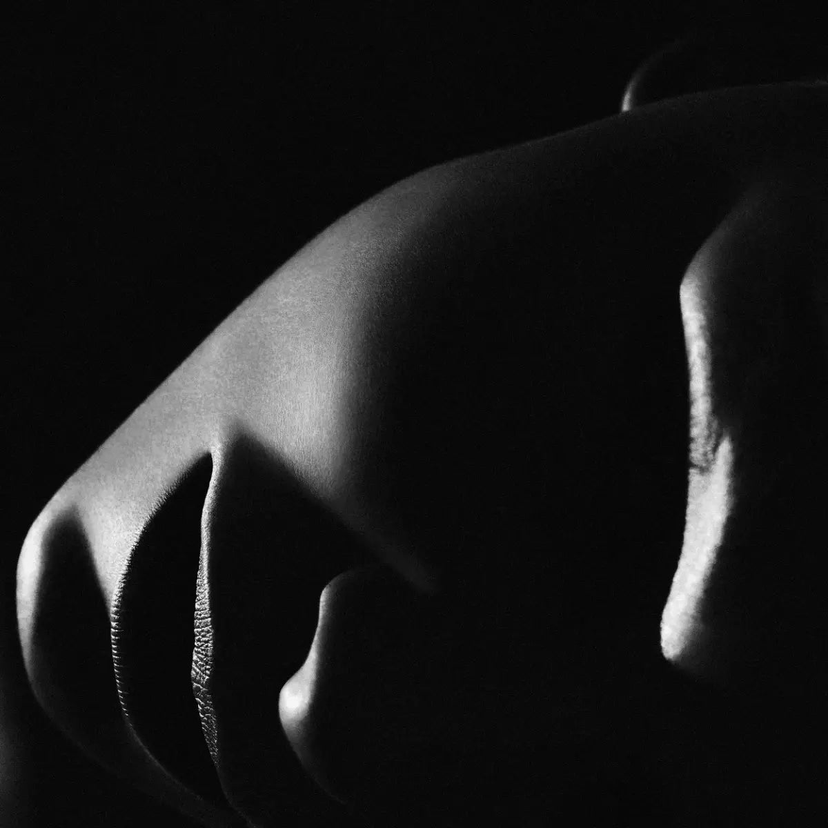 EICHHOLTZ KUNSTDRUCK PHILIPPE VOGELENZANG – LA NUIT 119929