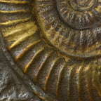 EICHHOLTZ TISCHLEUCHTE KAMARI 120083