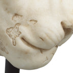 EICHHOLTZ DEKOOBJEKT LION TM0371