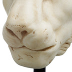 EICHHOLTZ DEKOOBJEKT LION TM0371